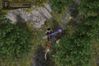 Baldur's Gate: Dark Alliance II