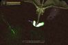 Baldur's Gate: Dark Alliance II