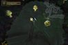 Baldur's Gate: Dark Alliance II