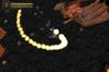 Baldur's Gate: Dark Alliance II