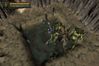 Baldur's Gate: Dark Alliance II