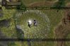 Baldur's Gate: Dark Alliance II