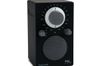 Tivoli Audio PAL sort