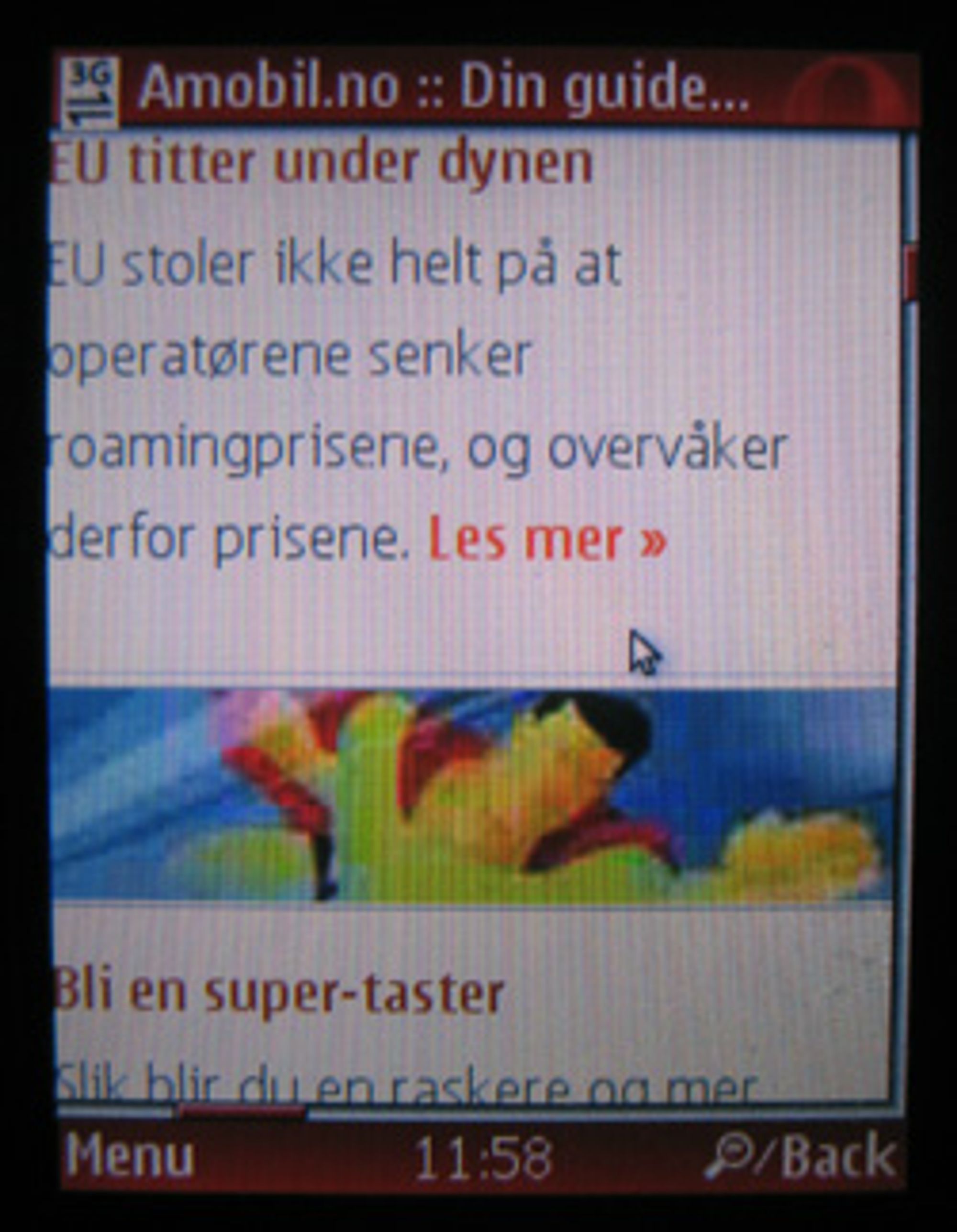 Et forstørret utsnitt av nettsiden.