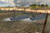 Codename: Panzers