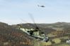 ARMA II