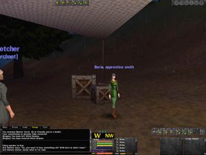 Gode gamle Dark Age of Camelot.