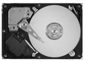 Seagate Barracuda 7200.11 1 TB