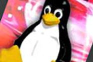 AMD lanserer ny Linux-driver