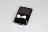Apple iPod Classic 160 GB