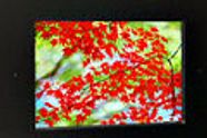 Toshiba-OLED f�rst i 2009