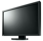 Eizo FlexScan SX3031W