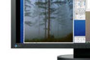 Voksen LCD for proffene