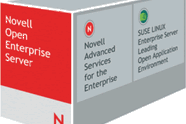 Open Enterprise Server 2 drives av Linux