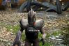Enclave