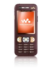 Sony Ericsson W890i