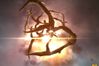 Eve Online: The Second Genesis
