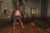 EverQuest II