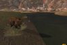 EverQuest II