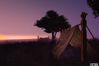 EverQuest II