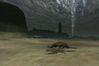 EverQuest II