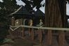 EverQuest II