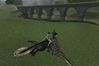 EverQuest II