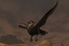 EverQuest II