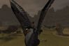 EverQuest II