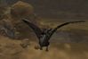 EverQuest II