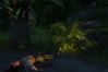 Far Cry
