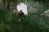 Far Cry