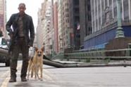 Mer I Am Legend?