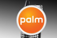- Palms nye heter Nova