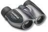 Olympus DPC I - 8x21