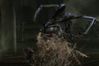 Dead Space