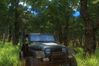 Just Cause 2