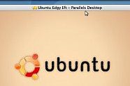 Parallels i gang med Linux-nisje
