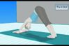 Wii Fit