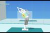 Wii Fit