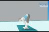 Wii Fit