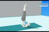 Wii Fit