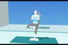 Wii Fit