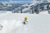 Family Ski 