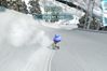 Family Ski 