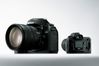 Nikon D70s