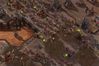 StarCraft II: Wings of Liberty