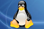 Mannen bak Arch Linux