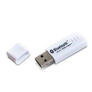 Point Of View Bluetooth USB 2.0 adapter