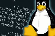 Hvem skriver Linux-koden?